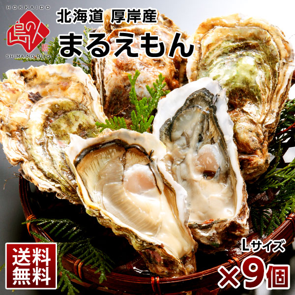 【水揚げ次第お届け】北海道 厚岸産 生牡蠣(まるえもん) 殻付き 9個【送料無料】