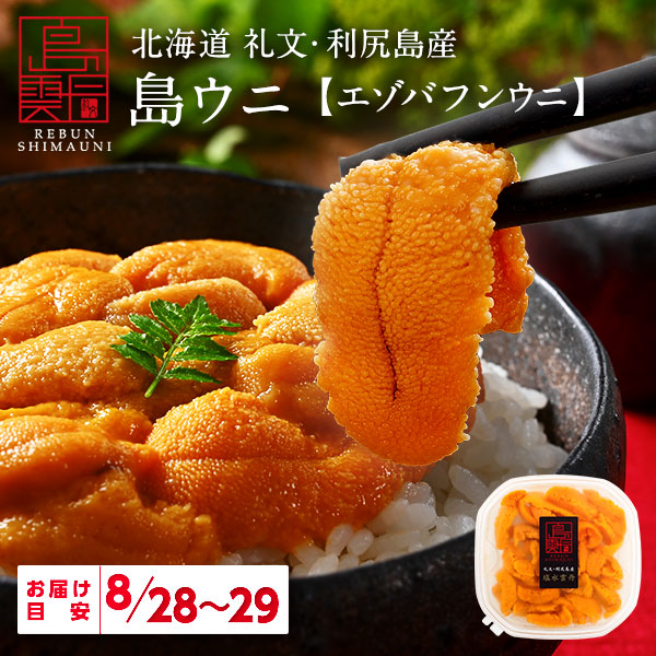 【8月28日～8月29日お届け】島雲丹  礼文・利尻島産 島ウニ 生エゾバフンウニ【送料無料】