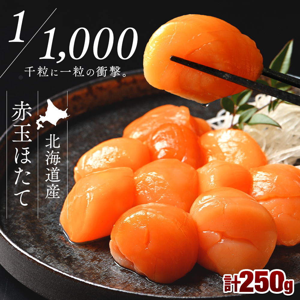 北海道産 お刺身用 赤玉ホタテ貝柱 250g