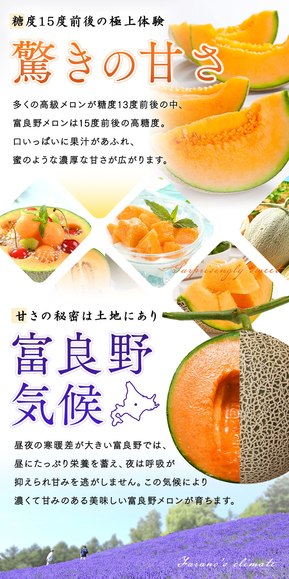 富良野メロン 