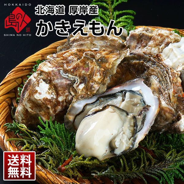 【水揚げ次第お届け】北海道 厚岸産 生牡蠣(カキえもん) 殻付き 9個【送料無料】