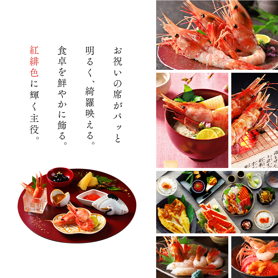 網走水産 特大お刺身ぼたんえび 500g×2パック L〜2L 送料無料 北海道 徳用 ぼたん海老 牡丹海老 ボタンエビ 海老 えび お刺身 化粧箱 お取り寄せ 産地直送