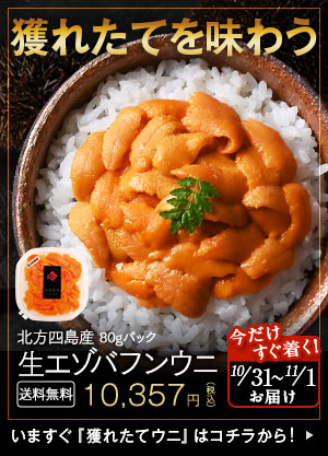 北方バフン