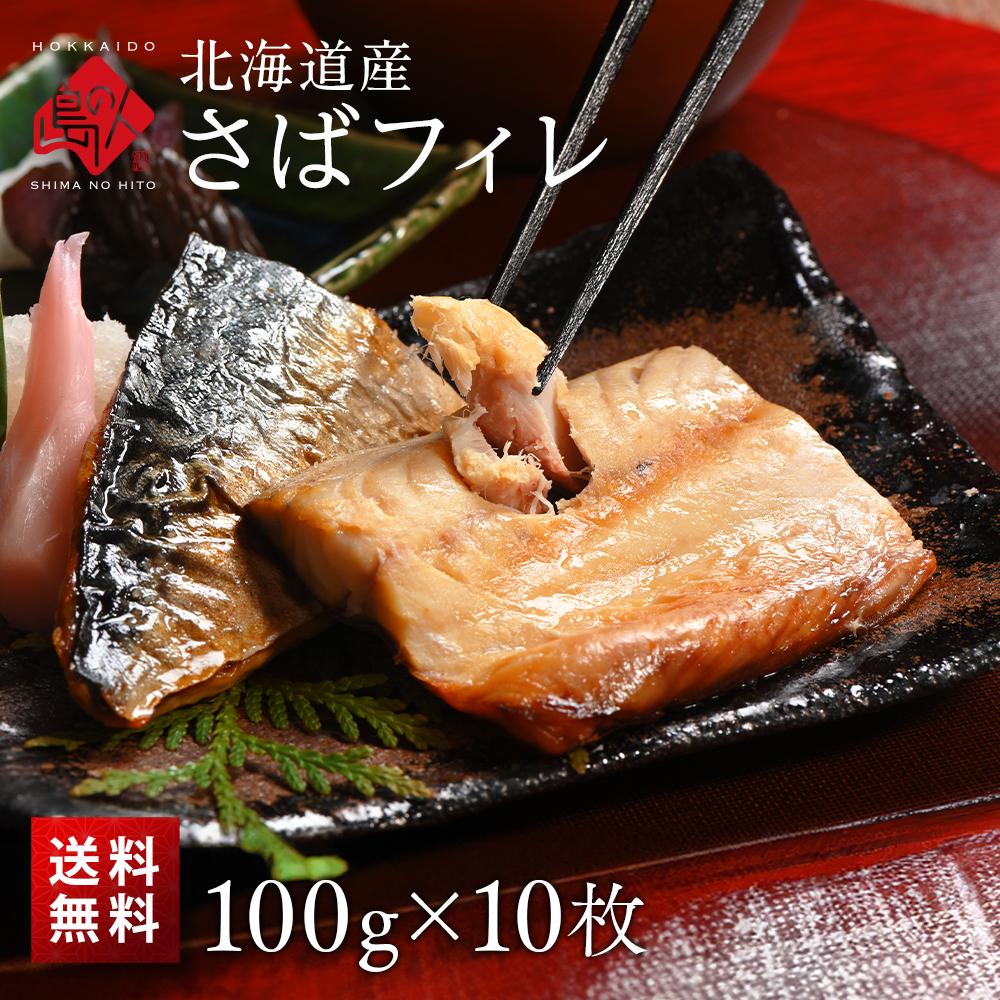 北海道産 さばフィレ 100g 10枚 【送料無料】 鯖 干物 焼き魚