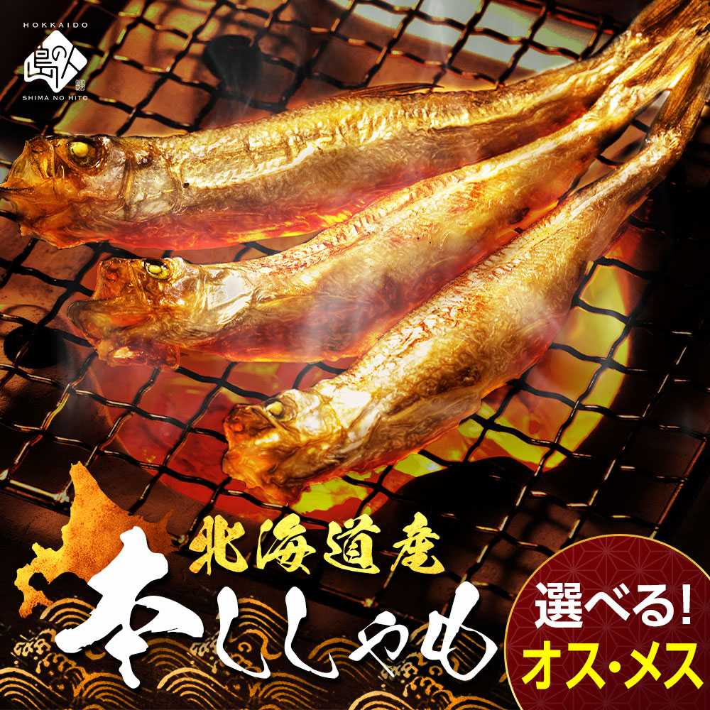 北海道産 本ししゃも オス10尾/メス10尾