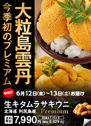 プレムラサキウニ
