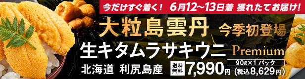 プレムラサキウニ