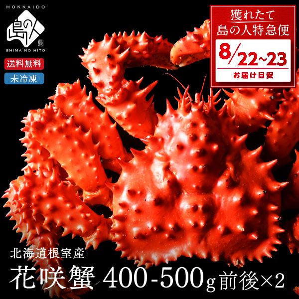 【8月22日～8月23日お届け】【産地直送】北海道 根室産 未冷凍 花咲ガニ(姿) 400-500g前後×2尾