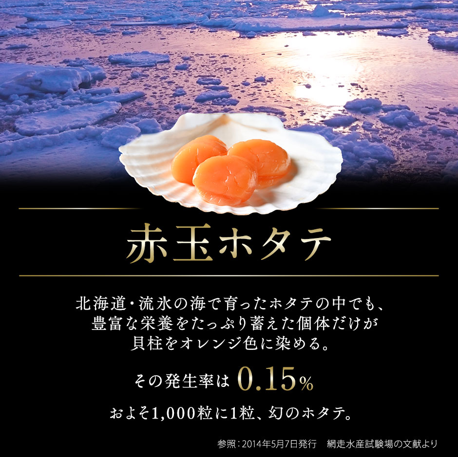 北海道産 お刺身用 赤玉ホタテ貝柱 1.0kg 送料無料