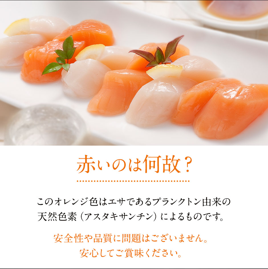 北海道産 お刺身用 赤玉ホタテ貝柱 1.0kg 送料無料
