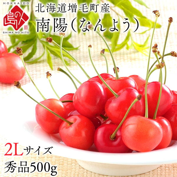 2種さくらんぼ1キロ　南陽500/佐藤錦500 予約販売】さくらんぼ 佐藤錦 500g【サイズ 2L】 （JA
