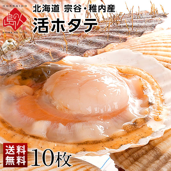 【送料無料】日本最高級 北海道野付産 巽ジャンボ活ホタテ10kg以上45-50枚 ホタテ漁期中】ジャンボ活ホタテ4kg (7枚～12枚) 鮮度抜群 殻