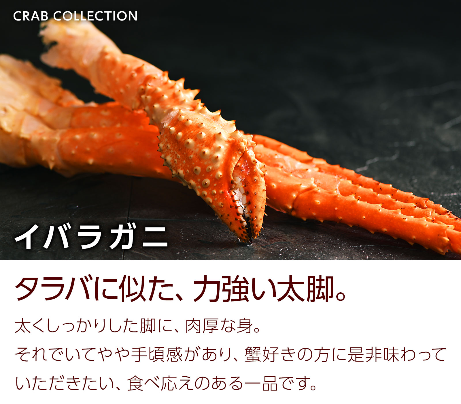 イバラガニ
