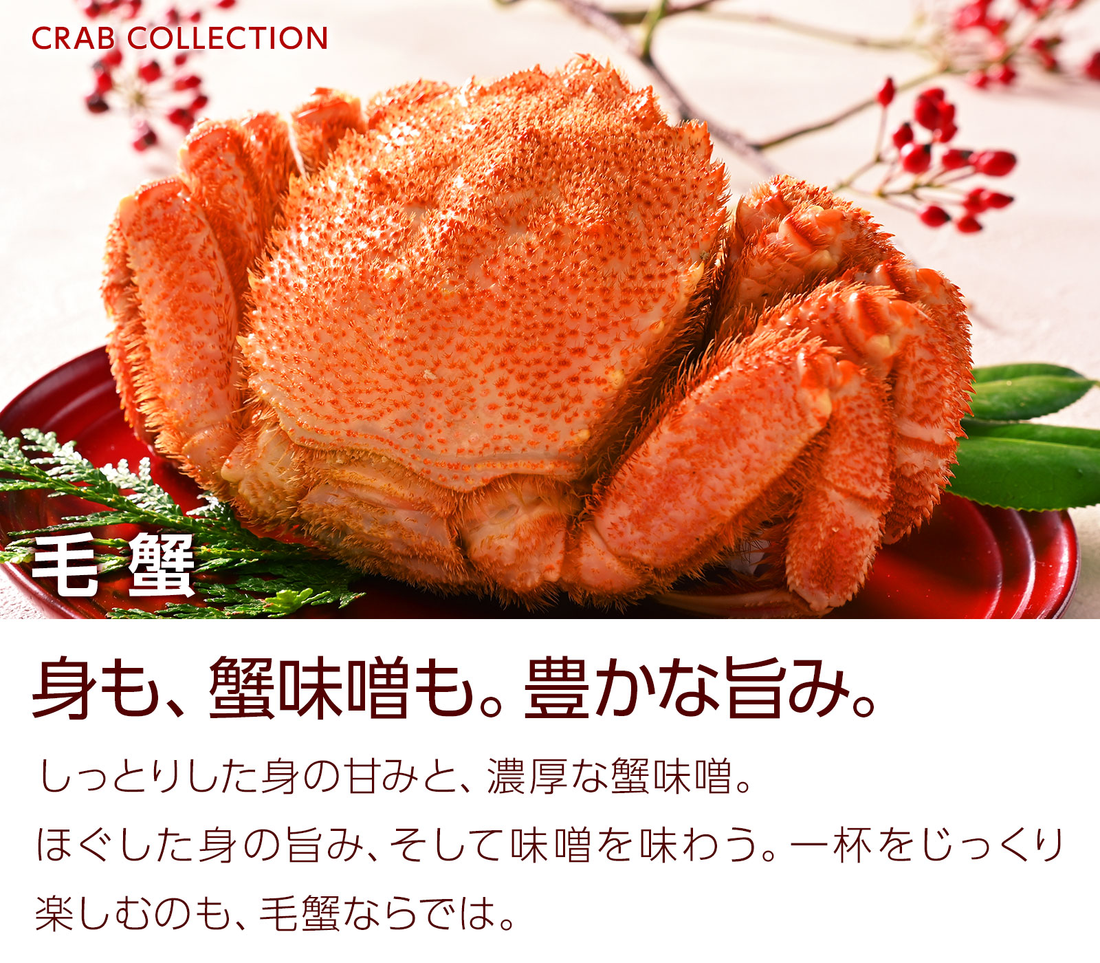 毛蟹