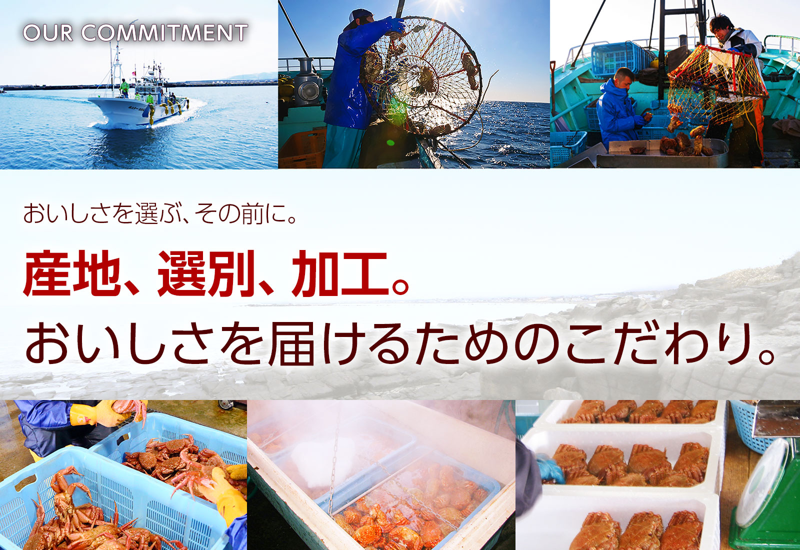 おいしさを選ぶその前に。産地、選別、加工。おいしさを届けるためのこだわり。