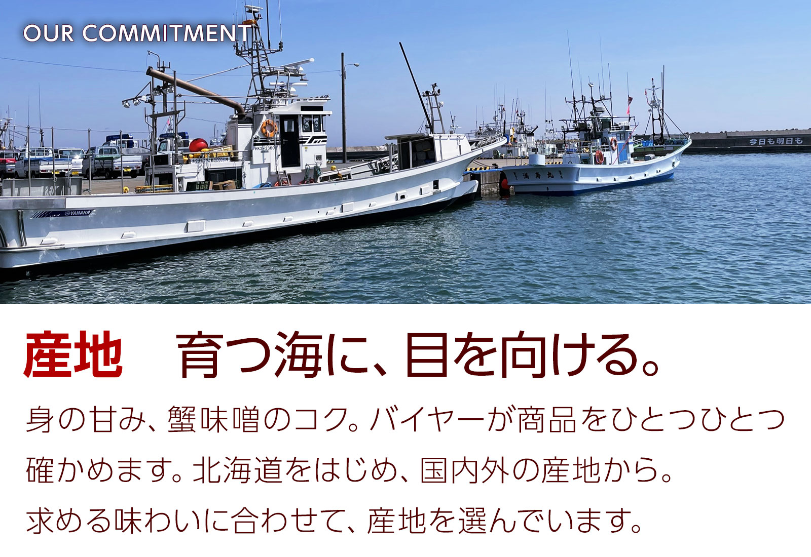 産地。育つ海に、目を向ける。北海道をはじめ国内外の産地から、身の甘み・蟹味噌のコクなど、バイヤーがひとつひとつ確かめて選んでいます。