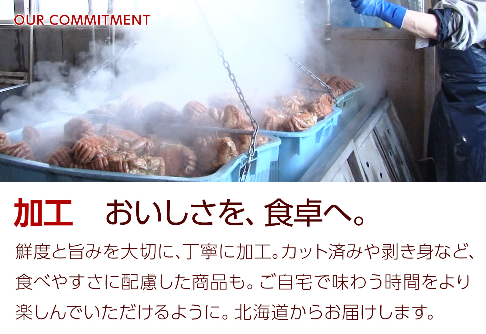加工。おいしさを、食卓へ。鮮度と旨みを大切に、丁寧に加工。カット済みや剥き身など、食べやすさに配慮した商品もご用意。北海道からお届けします