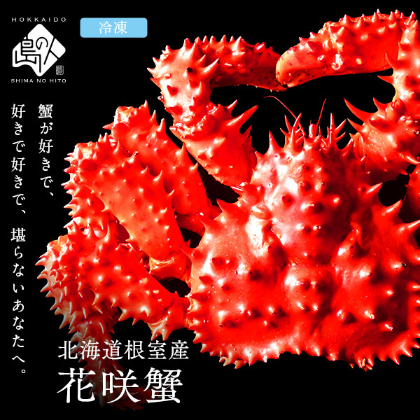 北海道 根室産 花咲ガニ姿【送料無料】