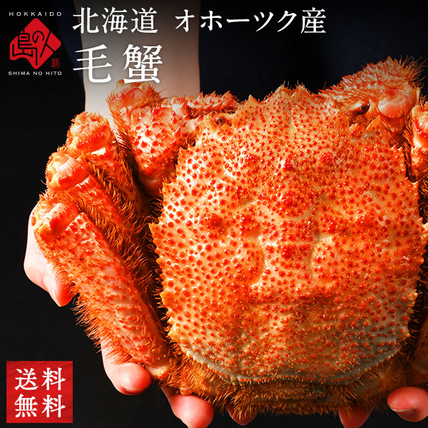 【特大】北海道 オホーツク産 毛蟹  800g／1.0kg前後【送料無料】
