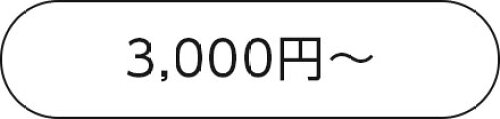 3000以上