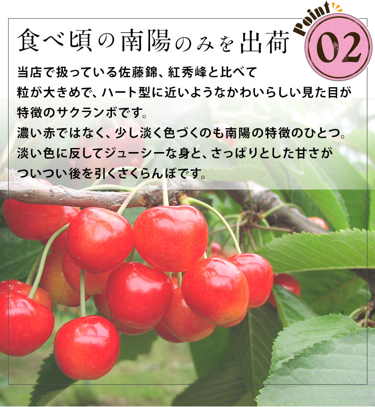 南陽1キロ　さくらんぼ　お得！ 南陽1キロ さくらんぼ お得！ - メルカリ