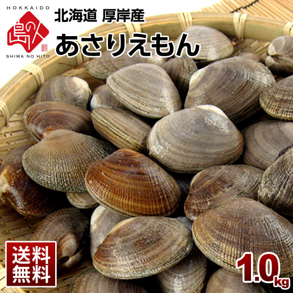 【9月10日以降水あげ次第お届け】北海道 "純"厚岸産 ごろっと殻付あさり 1.0kg(あさりえもん)【送料無料】