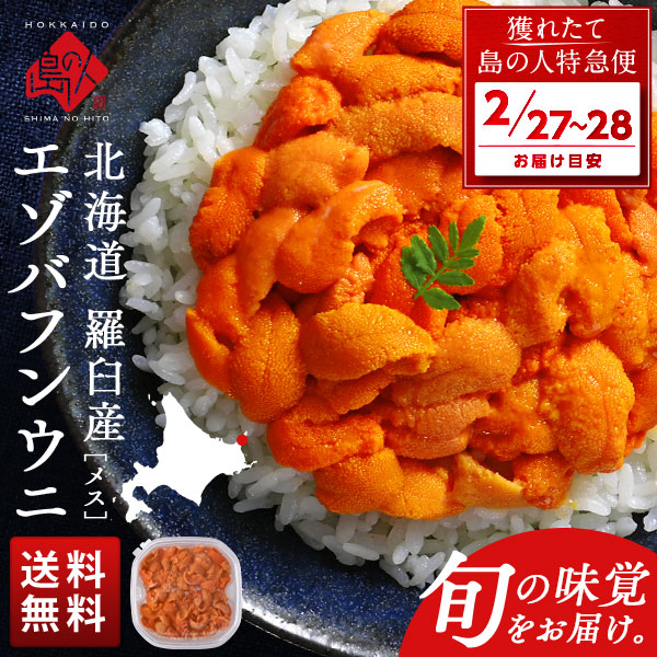 【2月27日～2月28日お届け】北海道 知床・羅臼産 生エゾバフンウニ 100g メス【送料無料】