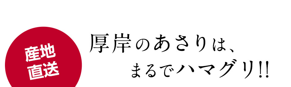 あさりタイトル