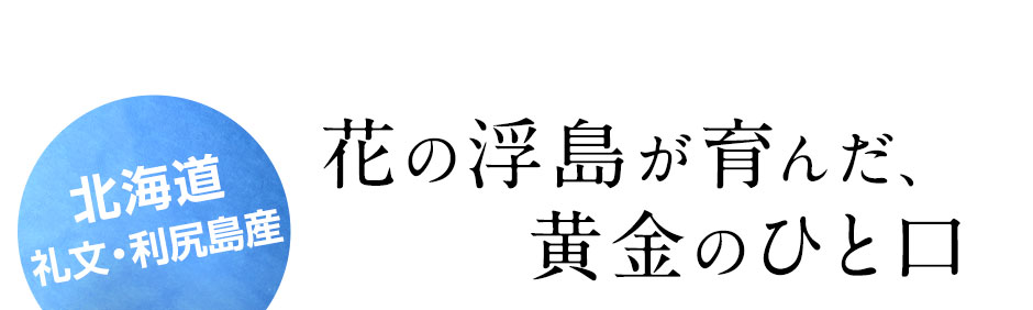 礼文・利尻島産 島雲丹