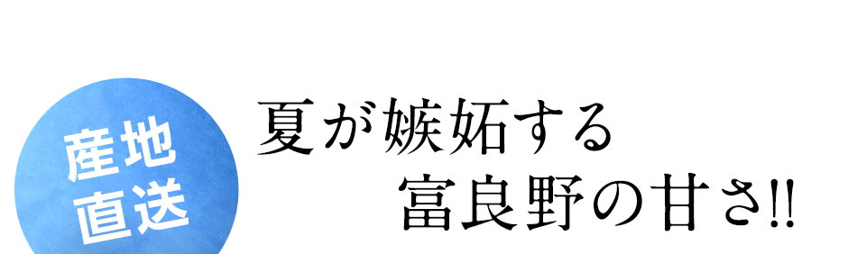 富良野メロン