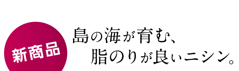 天然糠ニシン